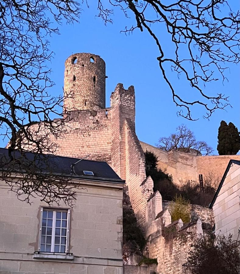 Le Rabelais, Superbe Appartement En Duplex, Proche Forteresse Et Monument Historique Шинон Экстерьер фото